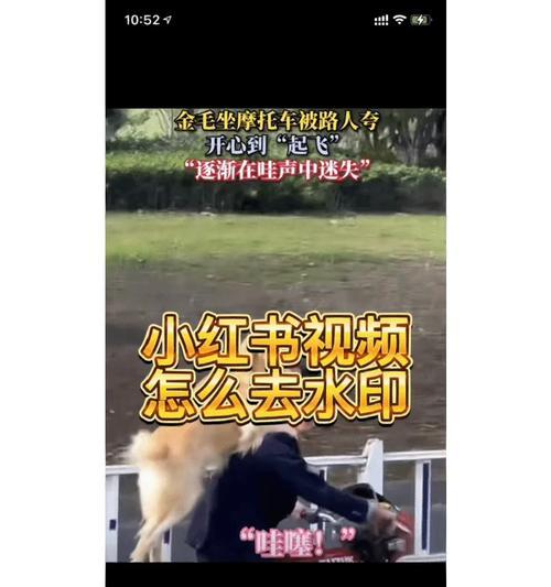 怎么剪辑小红书手段视频？视频编辑技巧有哪些？