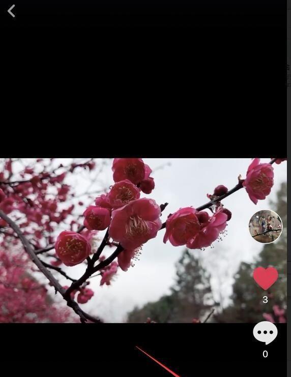 抖音音乐卡点剪辑技巧是什么？如何快速掌握？