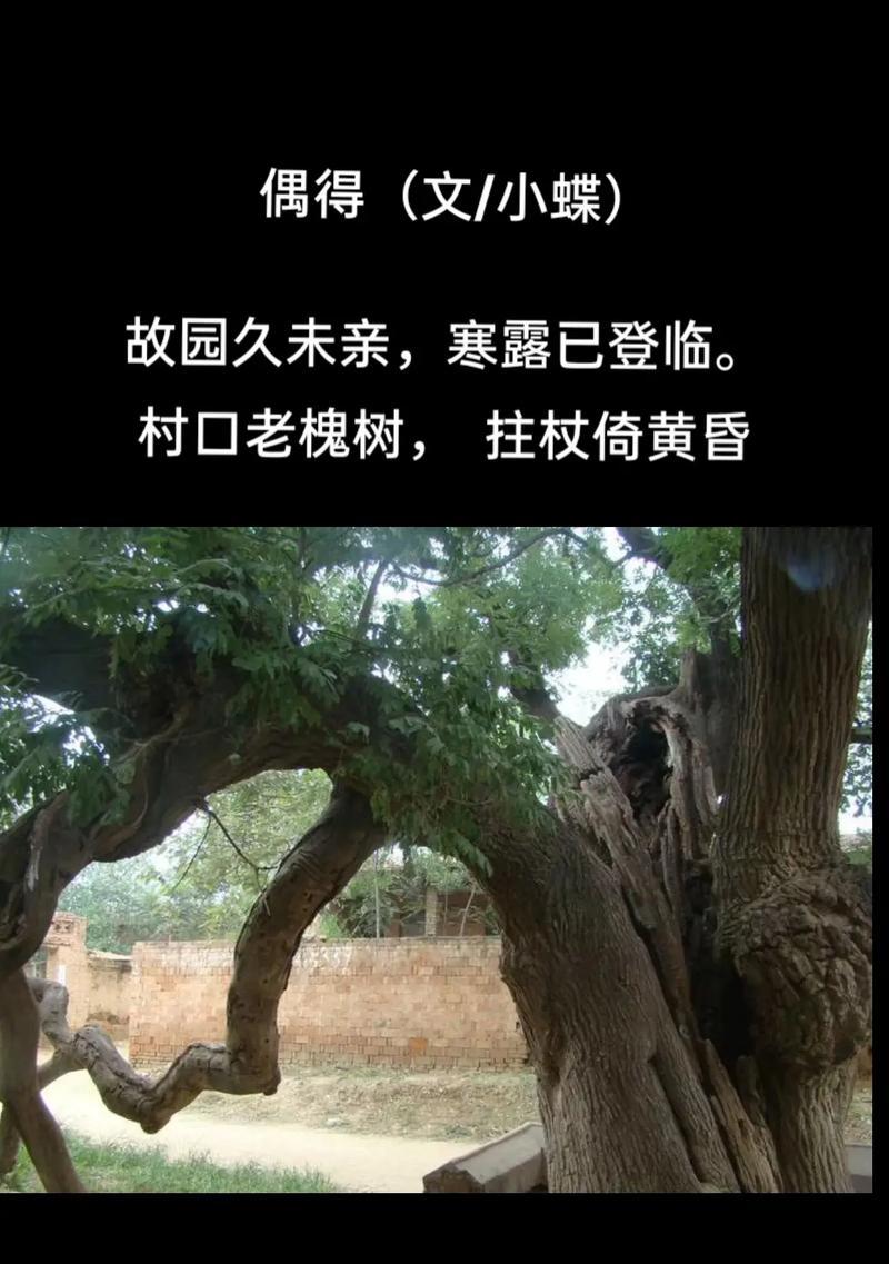 想念家乡抖音关键词有哪些？如何表达乡愁？