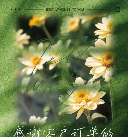 如何在抖音平台上表达感谢？表达感谢的创意方式有哪些？