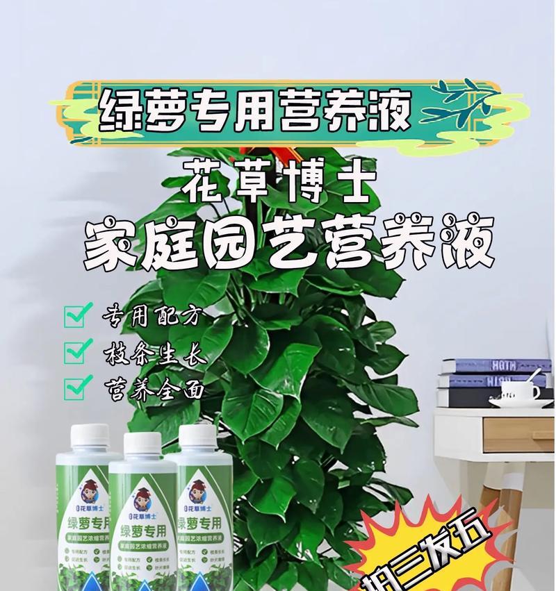 抖音绿萝相关关键词是什么？