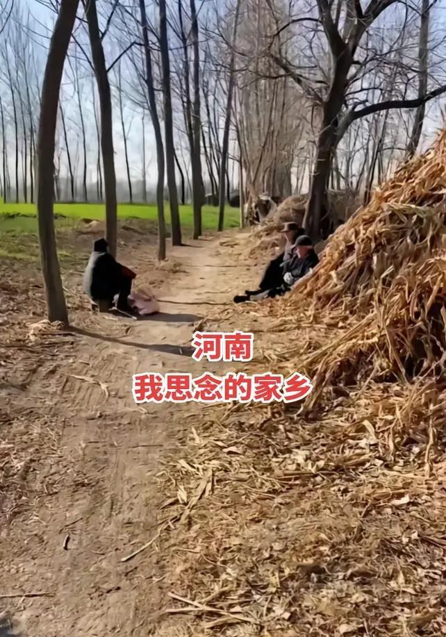 抖音中表达“想念家乡”的关键词是什么？