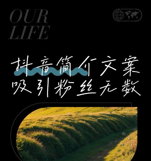 抖音文案关键词写什么内容？如何通过关键词吸引用户？