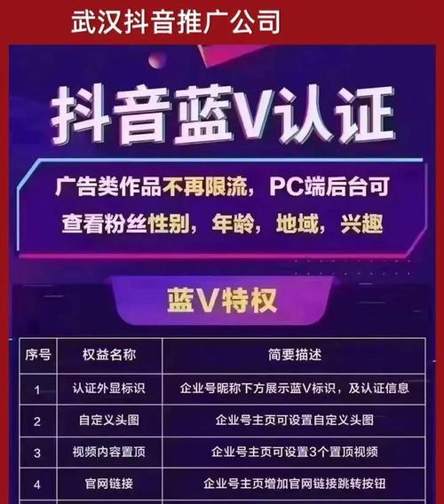 抖音中搜索词与关键词哪个对推广更重要？优化推广效果的分析方法是什么？