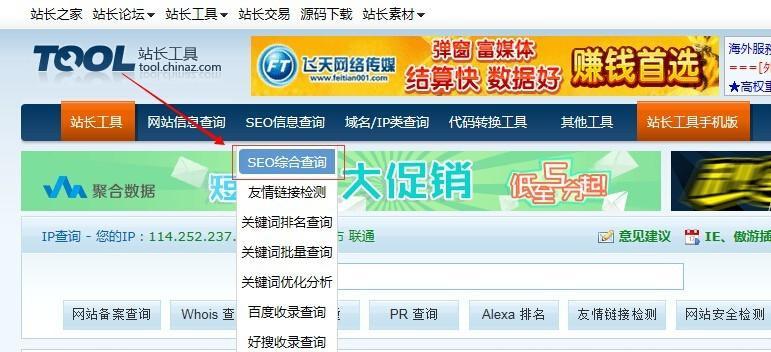 如何正确填写seo综合查询？填写过程中常见的问题有哪些？