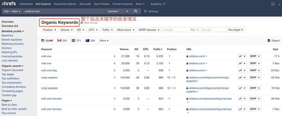 蜗牛精灵seo工具怎么样好？功能全面吗？