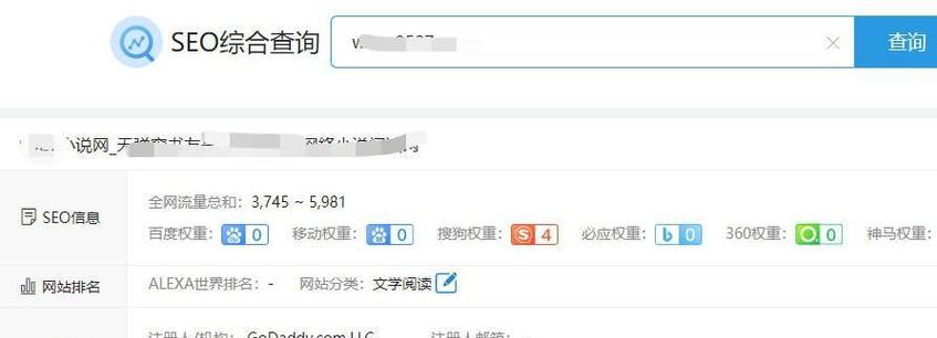 成人的seo综合查询是什么？如何进行有效的SEO分析？