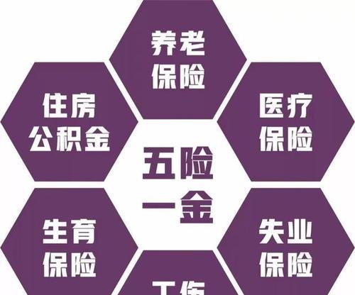 SEO查询社保是什么？如何利用SEO优化社保查询服务？