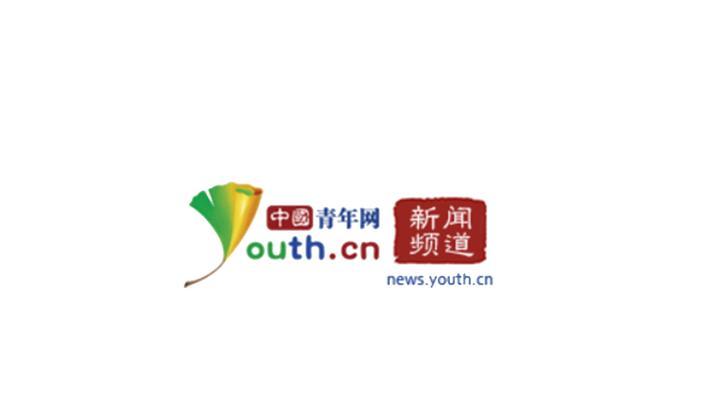 上海seo查询怎么做？如何优化网站提升搜索引擎排名？