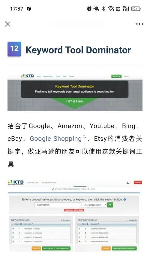 SEO用什么工具查？如何优化网站关键词排名？