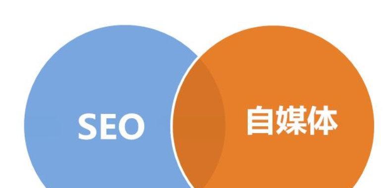 怎么避开seo综合查询公司排名？有效策略是什么？