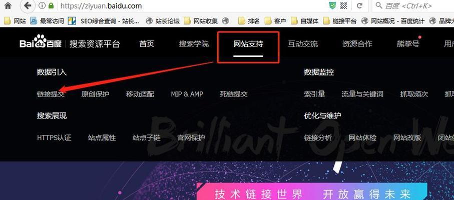 怎么消除seo综合查询信息？查询结果不准确怎么办？